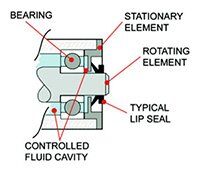 typical-seal-diagram